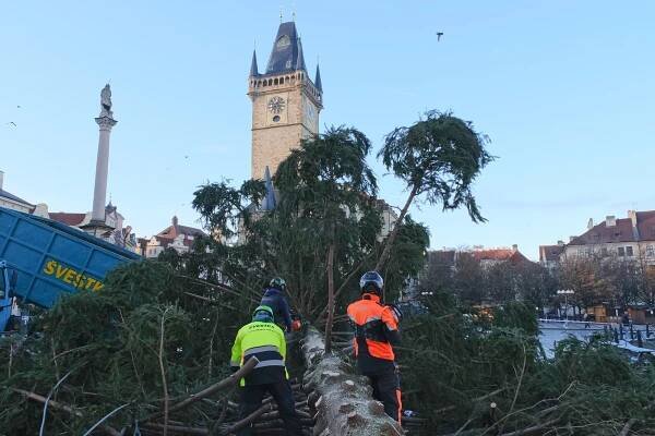 Konec vánoční atmosféry v Praze. Strom ze Staromáku čeká druhý život