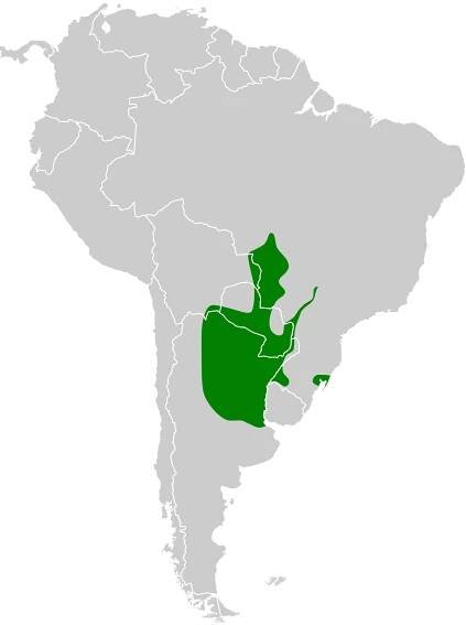 Soubor:Paroaria capitata map.svg