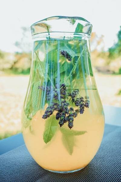 Osvěžující mátová limonáda – Snědeno.cz