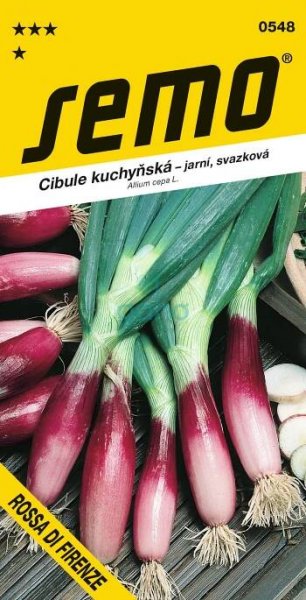 CIBUĽA JARNÁ zväzková Rossa di firenze červená