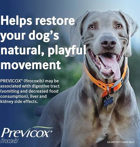 PREVICOX (Firocoxib) Chewable Tablets for Dogs, , 227-mg - Easy Refills | Chewy Rx