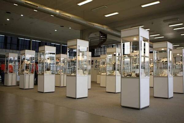 Výstaviště ukazuje krásu minerálů z celého světa. Děti se naučí poznávat fosilie