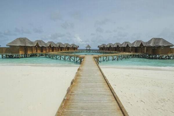 FIHALHOHI ISLAND RESORT - JIŽNÍ MALE ATOL - Vyberte si exotické ubytování na Maledivách | Kentlucky