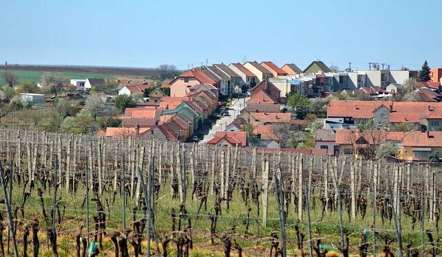Čejkovice (okres Hodonín) – Wikipedie