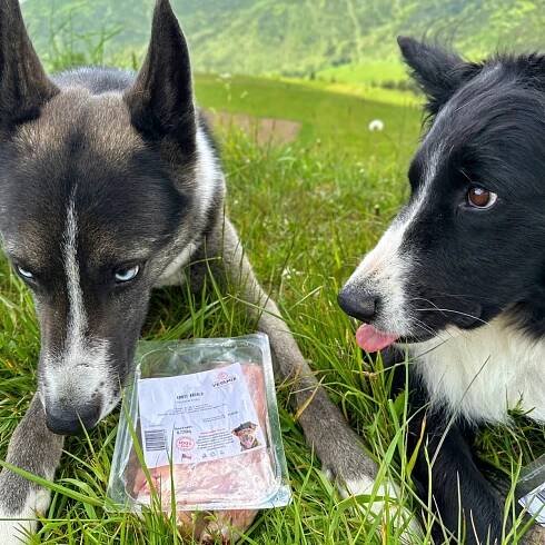 Krůtí křídla 400 g | BARF krmivo pro psy a kočky | Vetamix s.r.o.
