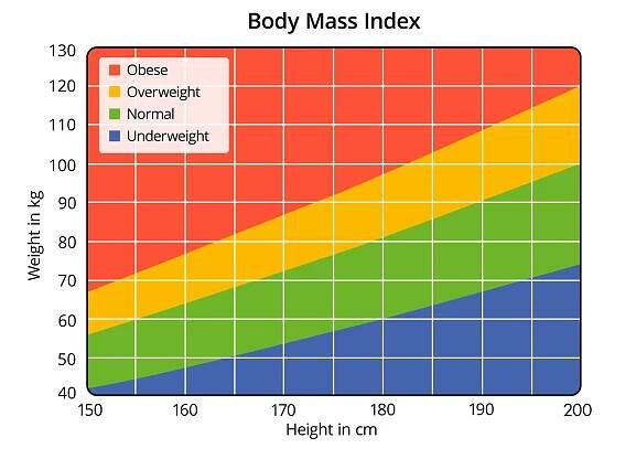 BMI Rechner