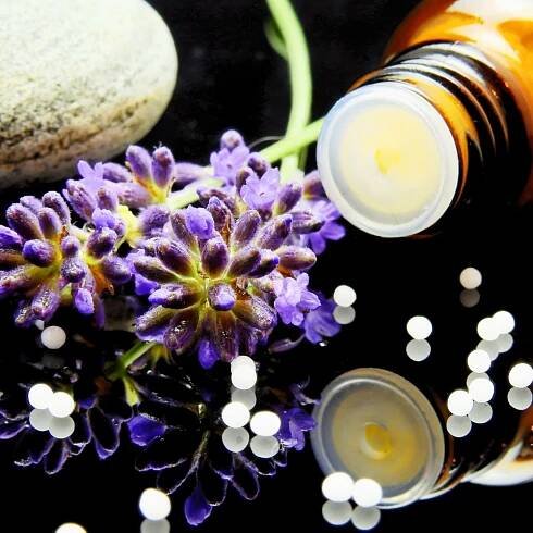 Kurzy homeopatie, semináře, homeopatická škola ve Zlíně.