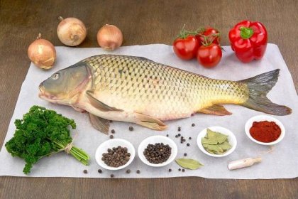 Rybí vývar s filety | NUTRIADAPT