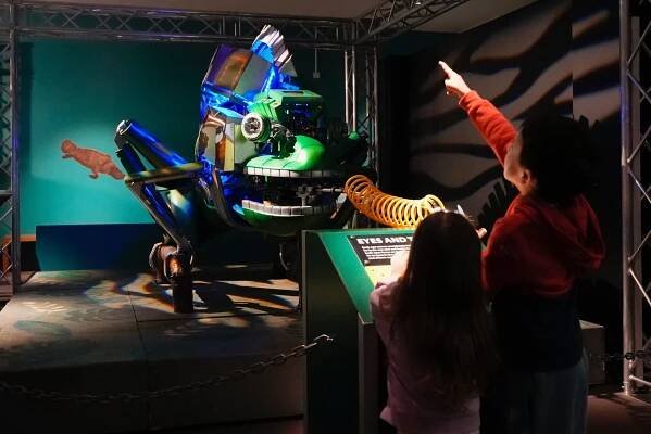 The Robot Zoo - Horniman Museum and Gardens