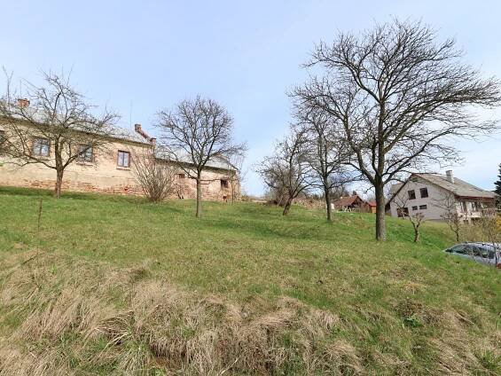 Prodej Pozemek, Petrovice, okres Ústí nad Orlicí