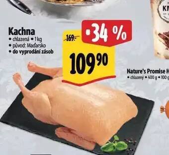 Albert Kachna nabídka