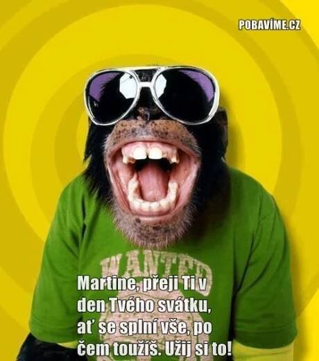 Přání k svátku pro Martina | Pobavime.cz