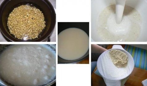 Domácí výroba sójového mléka
