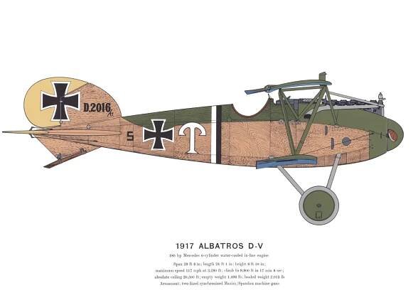 Albatros D.V 1917