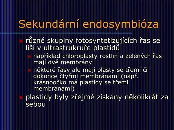 PPT - Protista (Prvoci) PowerPoint Presentation, free download - ID:920853