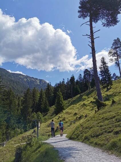 Die letzten Meter zur Hängebrücke sind schnell gewandert - mir gefällt dieses Landschaftsbild