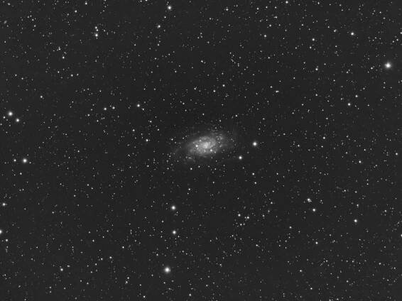 NGC2403
