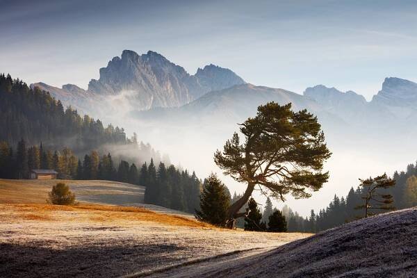 Tapety : Příroda, krajina, stromy, Martin Rak, dolomity, Itálie, ráno, mlha, mraky, hory, údolí, les 1920x1280 - Inrro - 2274562 - Tapety - WallHere