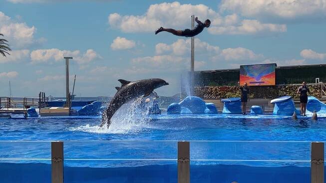 Delfinárium Marineland Mallorca (Táta)