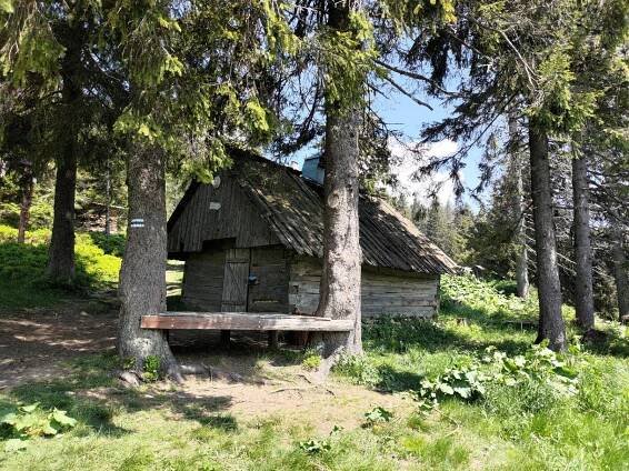 Vlad - výlet Jelesnia Hiking - Vrcholovka.cz