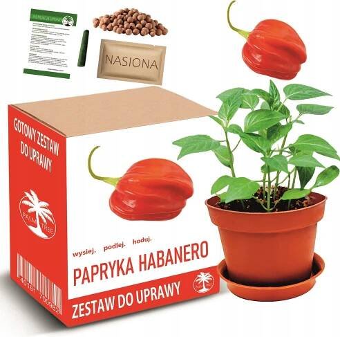 Sada pro pěstování PAPRIKY HABANERO chilli papriček