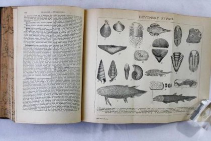 Ottův slovník naučný - 7. Dánsko-Dřevec / J. Otto, 1893 - Knihy