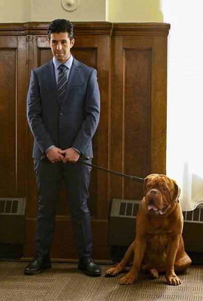 Turner a Hooch - V chlupaté službě - Z filmu