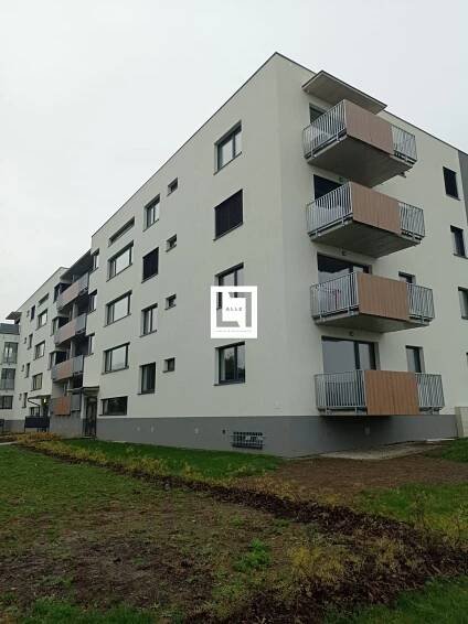 Loudova, Olomouc - Povel