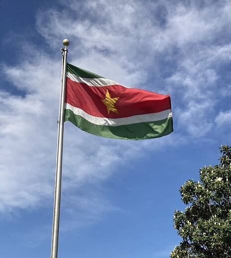 Flag of Suriname - Wikipedia