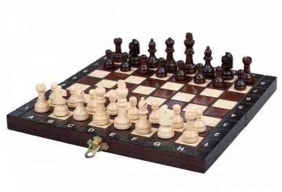 Šachy SCHOOL