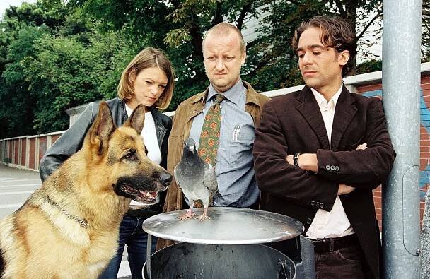 Komisař Rex - Poštovní holubi - Z filmu - pes Rhett Butler, Elke Winkens, Martin Weinek, Alexander Pschill