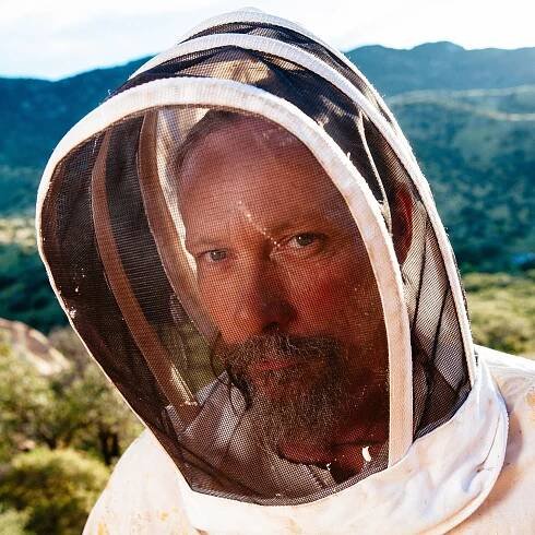 Killer Bees — Jonathan Young Photography