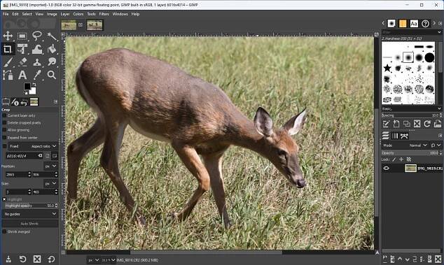 GNU Image Manipulation Program (GIMP)