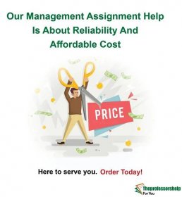 Management college assignments writers for hire