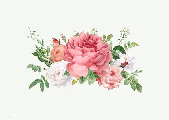 Flores rosa