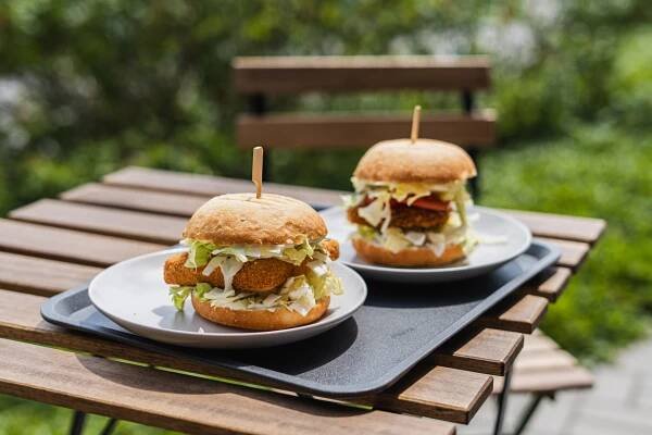 Veganská restaurace, jídlo Humpolec, Vysočina, Vystrkov