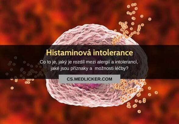 Histaminová intolerance není alergie! Jaké jsou její příčiny, příznaky a léčba?