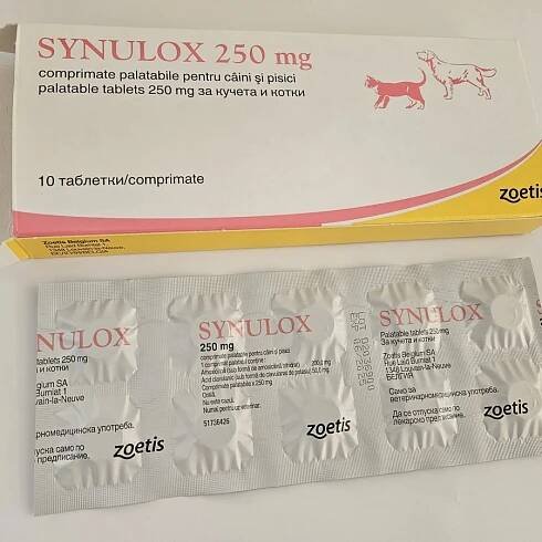 SYNULOX – 250 mg – 10 tablets