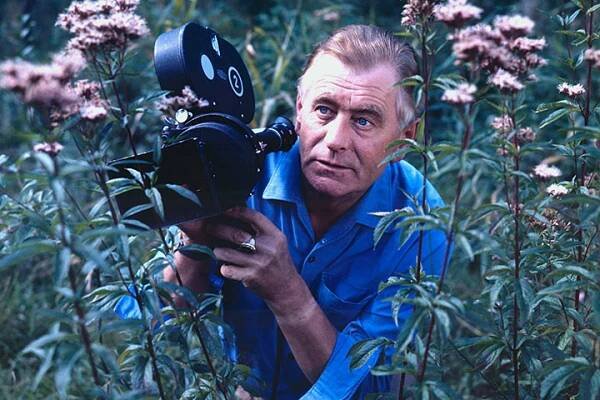 PM Seit 60 Jahren im deutschen Fernsehen: NDR-Naturfilmreihe „Expeditionen ins Tierreich“ feiert Jubiläum