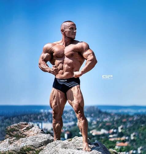 Fitness & Bodybuilding - gpexclusive
