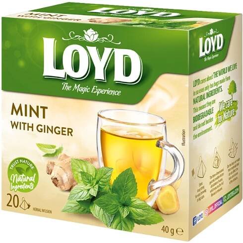 Loyd čaj mint and ginger 40g (máta a zázvor) (10)