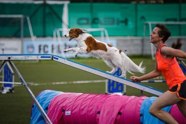 Fotky Moravia Open 2021 (2021) - FotoHacko.cz