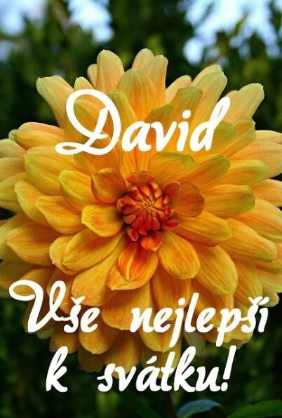 Název souboru=prani-k-svatku-david.jpg
Velikost souboru=1847KB
Rozměry=1753x2592
Datum přidání=%02. %621 %2015