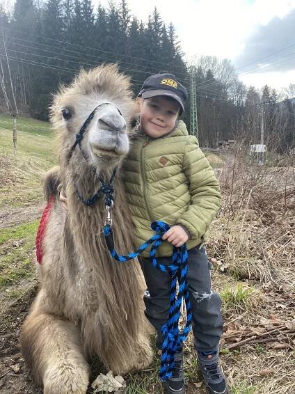 Cameltreking: Procházka s velbloudem - 1,5kilometrový okruh