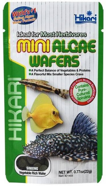 Hikari Tropical Mini Algae Wafers 22 g