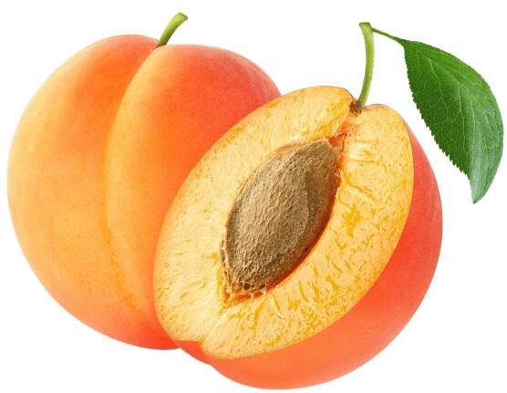 Apricot