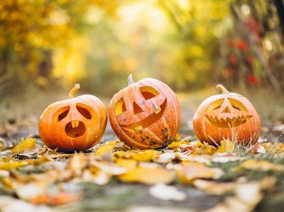 70 Best Pumpkin Carving Ideas for a Creative Halloween
