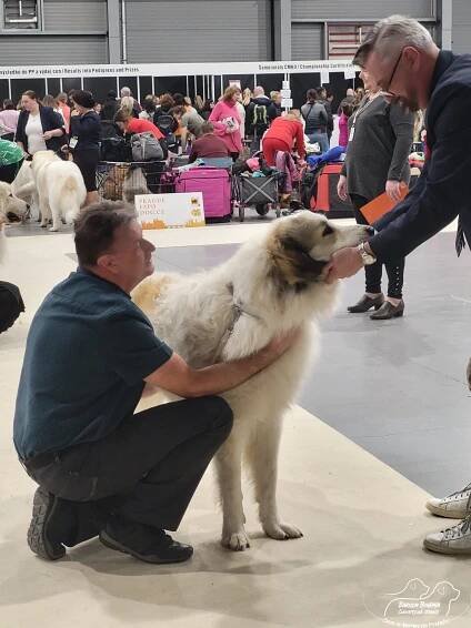 PRAGUE EXPO DOG PRAHA TRIO CACIB – 1.12. 2024 - BABYLON BOHEMIA