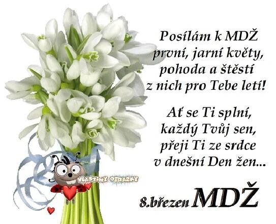 Pin di Lenka Kuncova su Přání k....