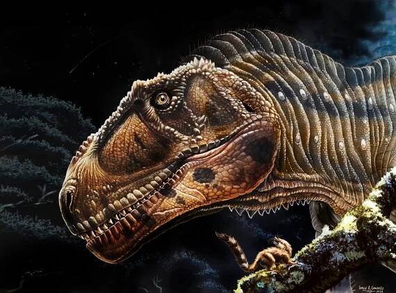 Blogorgonopsid: Meraxes gigas - nový velký carcharodontosaurid s drobnýma ručkama